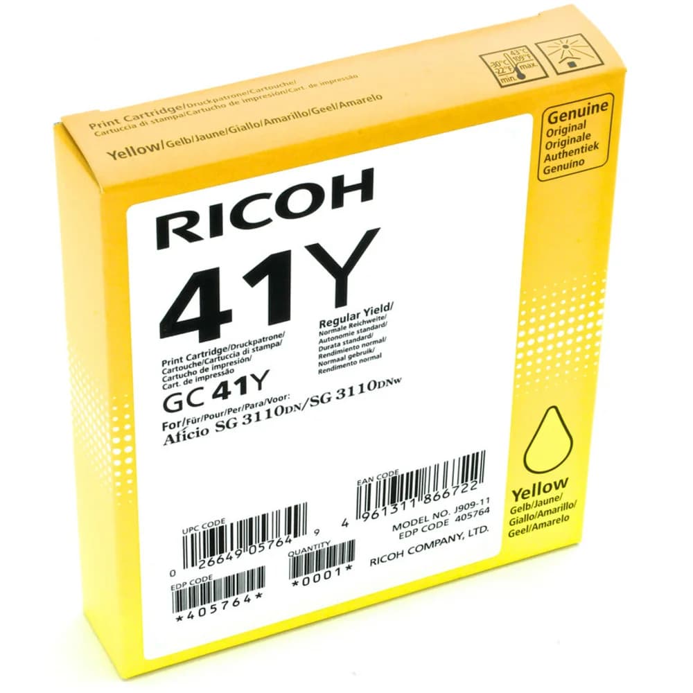 Print Cartridge GC 41Y