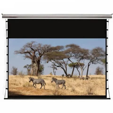 Kauber InCeiling Tensioned BT Cinema 122" 16:9 152x270 дроп 60 см. Clear Vision