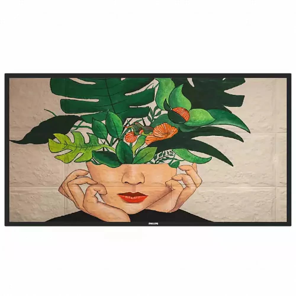 55" Philips 55BDL4511D