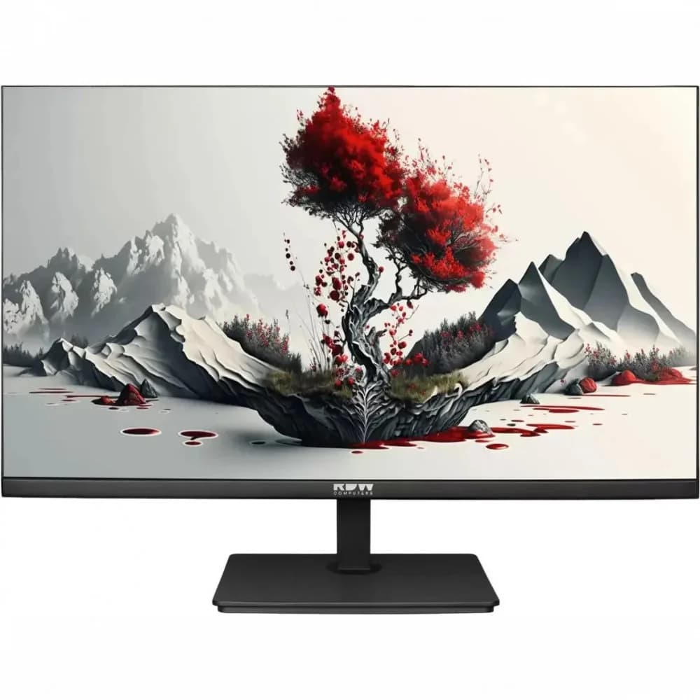 Монитор RDW Computers 23.8" RDW2401K черный IPS 4ms 16:9 HDMI M/M матовая HAS Piv 1000:1 300cd 178гр/178гр 1920x1080 100Hz VGA DP FHD 1.7кг (RUS)
