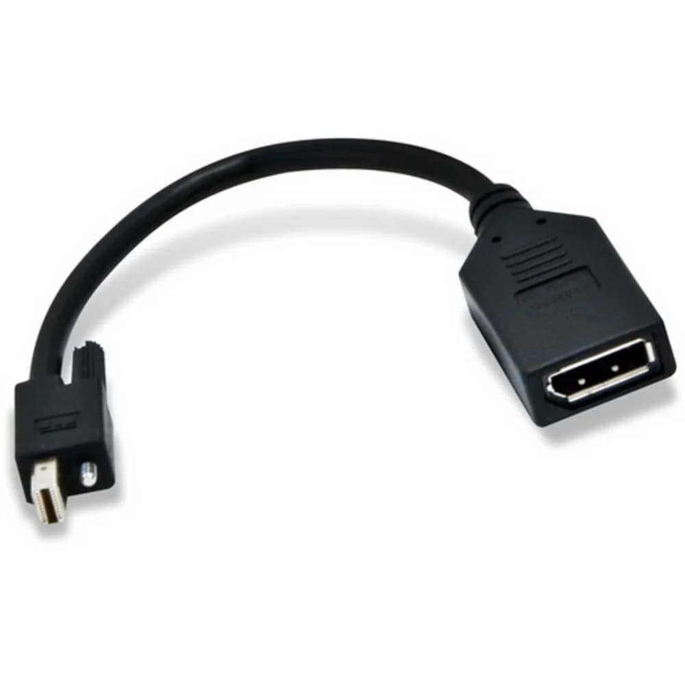 Mini-DisplayPort to DisplayPort with Secure Lock X6 (w/o GB)
