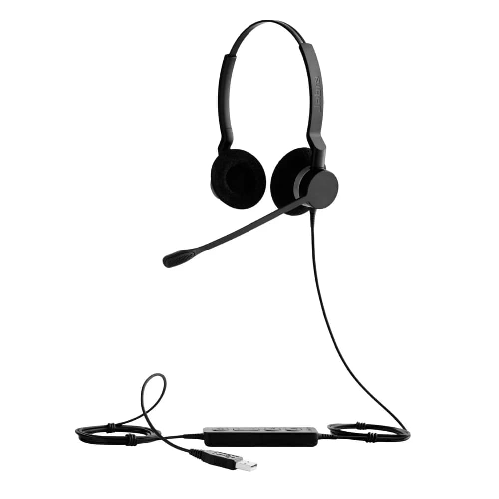 BIZ 2300 Duo USB UC E-STD NC Hifi DSP PC Suite