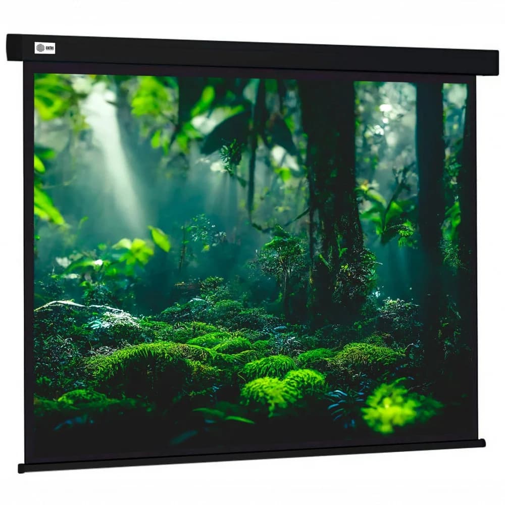 Экран Cactus 213x213см Wallscreen CS-PSW-213X213-BK 1:1 настенно-потолочный рулонный черный
