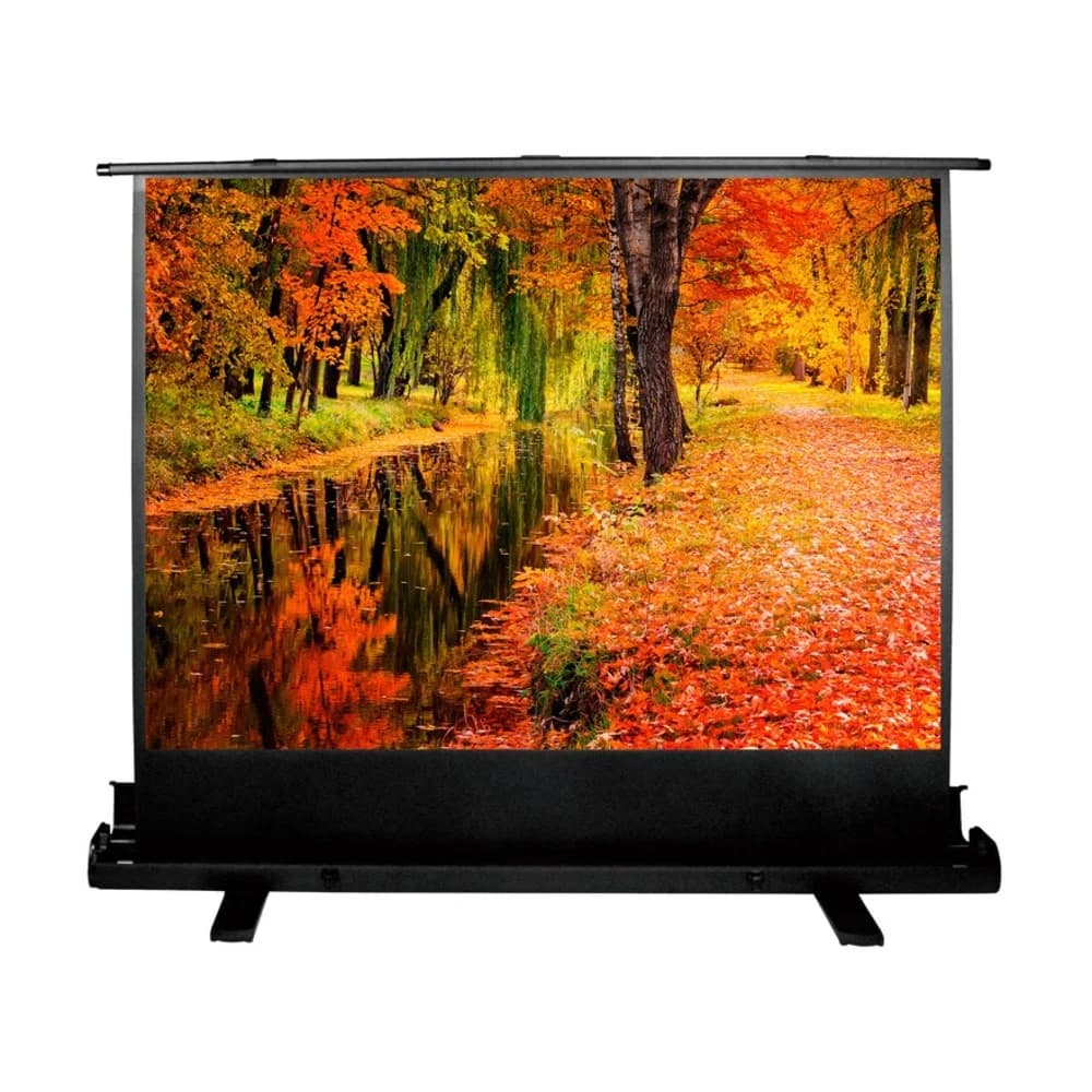 Экран Cactus 150x200см Floor Expert CS-PSFLE-200X150 4:3 напольный рулонный