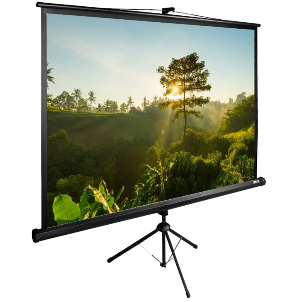 Экран Cactus 200x200см TriExpert CS-PSTE-200x200-BK 1:1 напольный рулонный