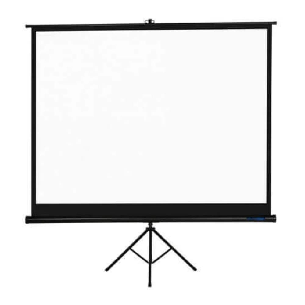 PROscreen Экран на треноге 4:3 2438х1830 (полотно матовое белое, тип 2), 120"