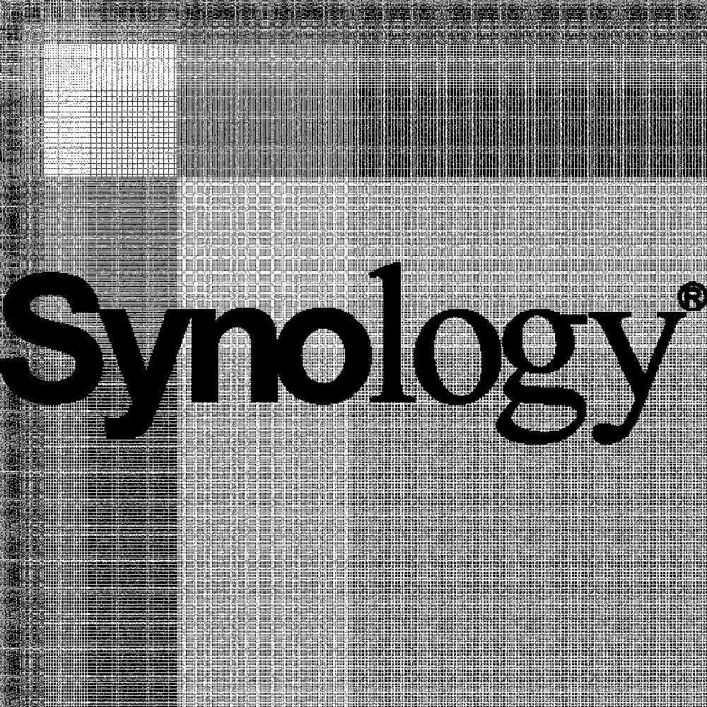 Терминал видеонаблюдения VS600HD SYNOLOGY