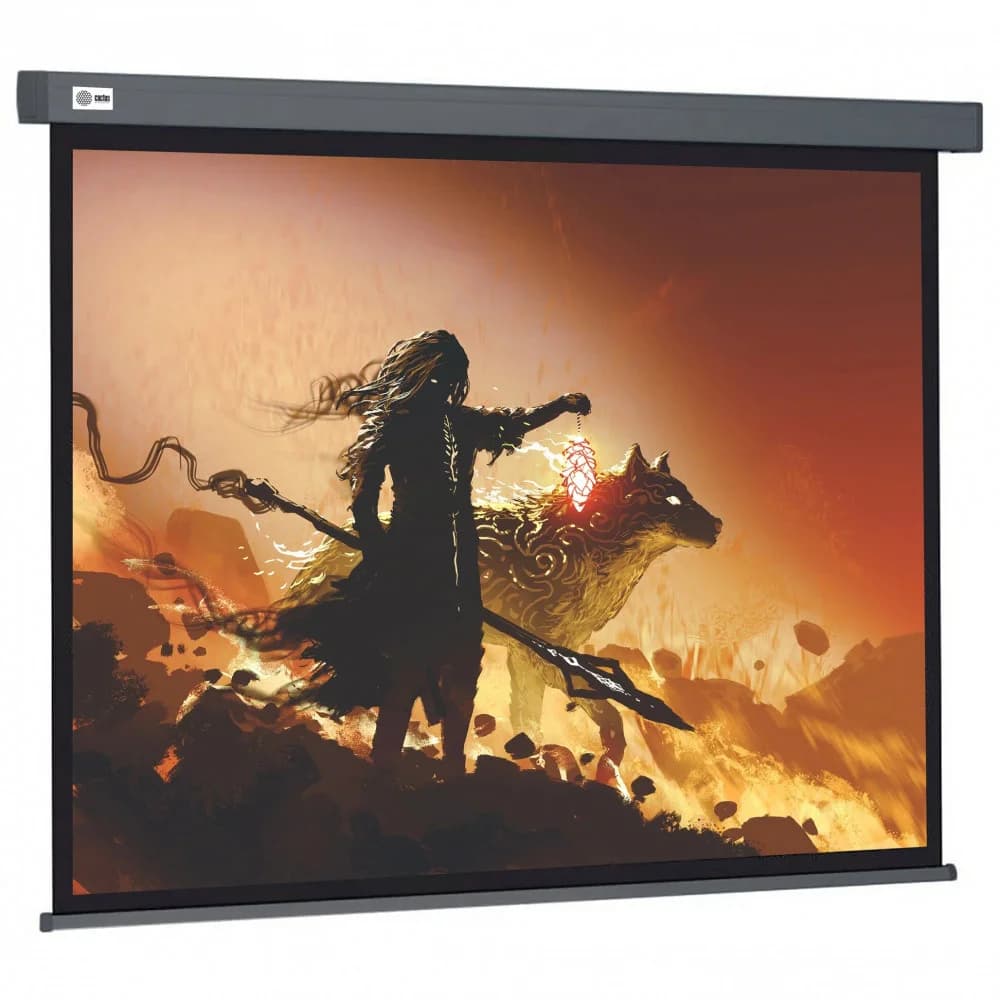 Экран Cactus 213x213см Wallscreen CS-PSW-213X213-SG 1:1 настенно-потолочный рулонный серый