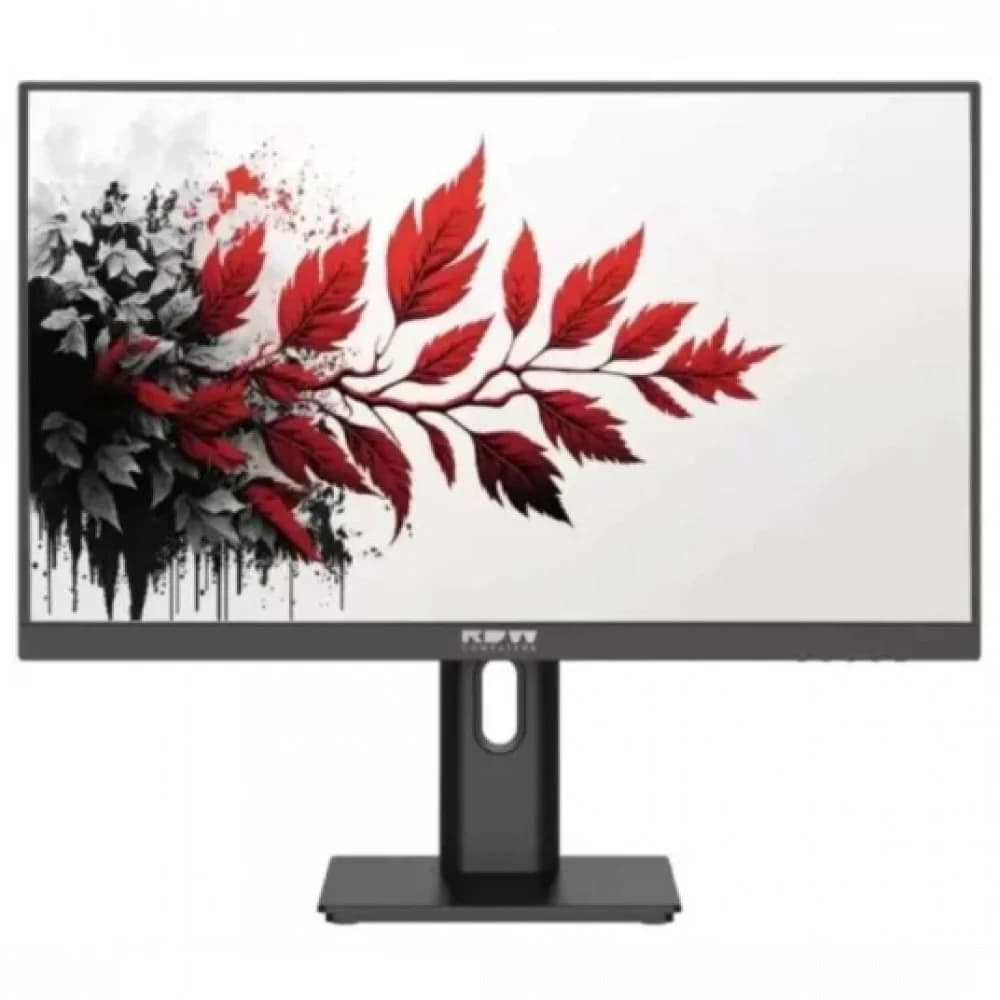 Монитор RDW Computers 27" RDW2701K черный IPS 5ms HDMI HAS Piv 300cd 178гр/178гр 1920x1080 100Hz VGA DP FHD (RUS)