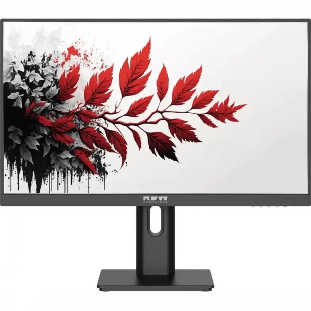 Монитор RDW Computers 27" RDW2701K черный IPS 5ms HDMI M/M матовая 300cd 178гр/178гр 1920x1080 120Hz VGA DP FHD (RUS)